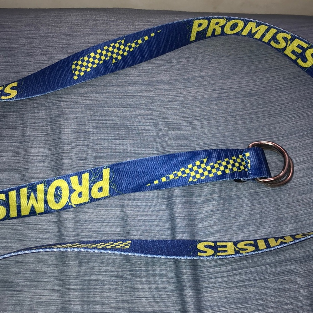Belt